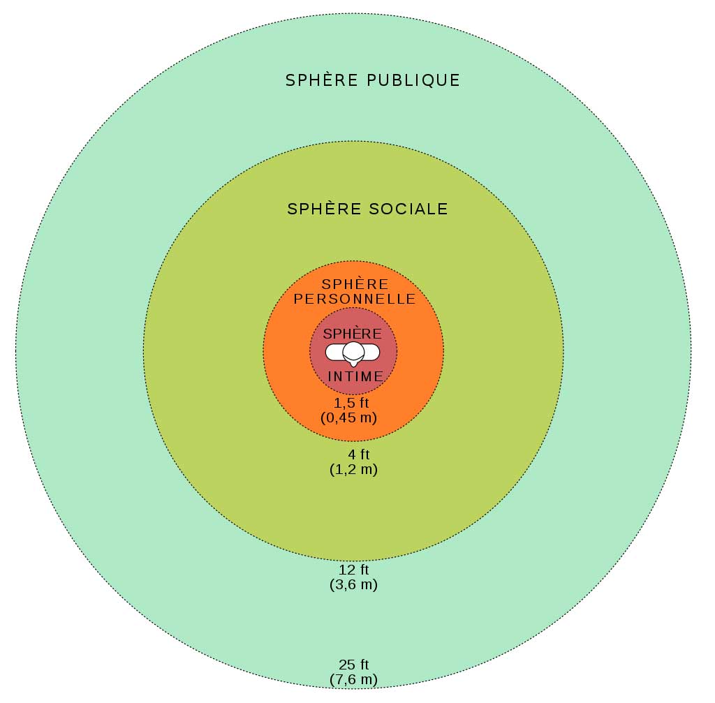 Diagramme des sphères proxémiques chez des sujets de la classe moyenne de la côte nord-est du continent américain, d'après Hall.