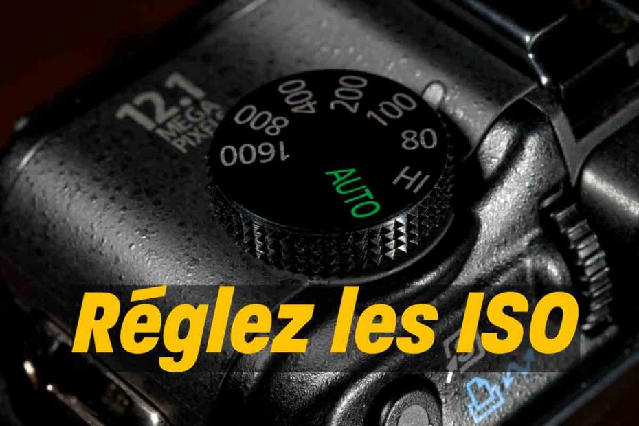 Réglez les iso en photographie
