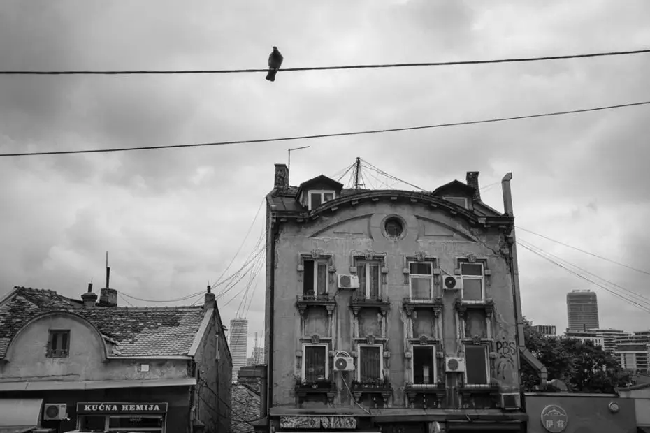 Vue sur la ville de Belgrade, en noir et blanc, avec un oiseau sur un fil électrique et un bâtiment ancien sur un ciel chargé.