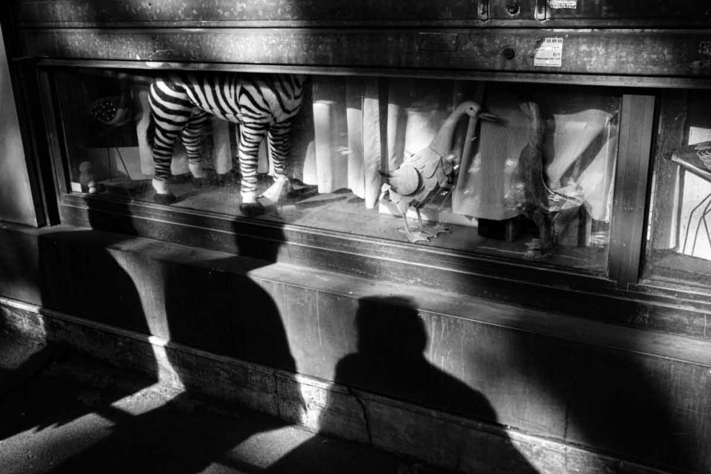Photographie de rue en noir et blanc montrant des ombres portées devant une vitrine avec un zèbre et une cigogne.