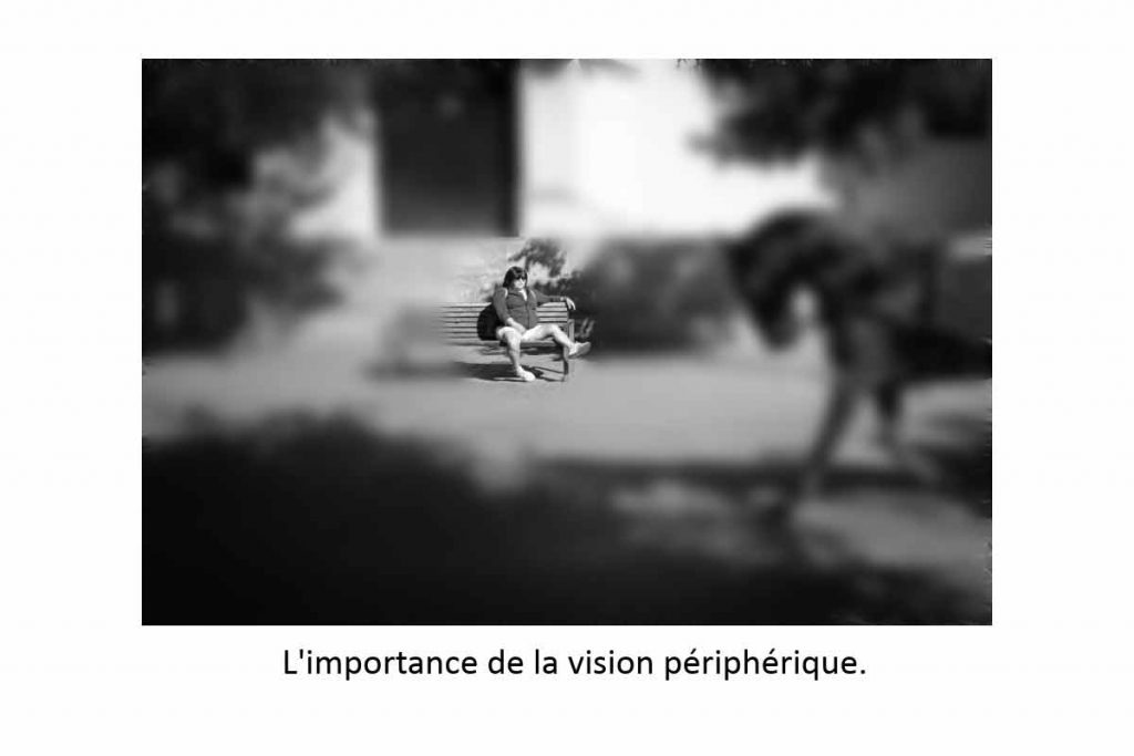Simulation de la vision périphérique floue autour d'un sujet net assis sur un banc public.